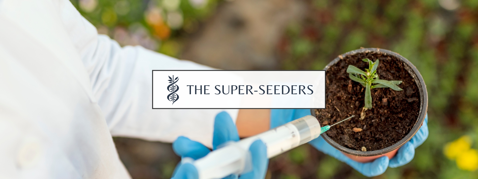 Super-Seeders case study